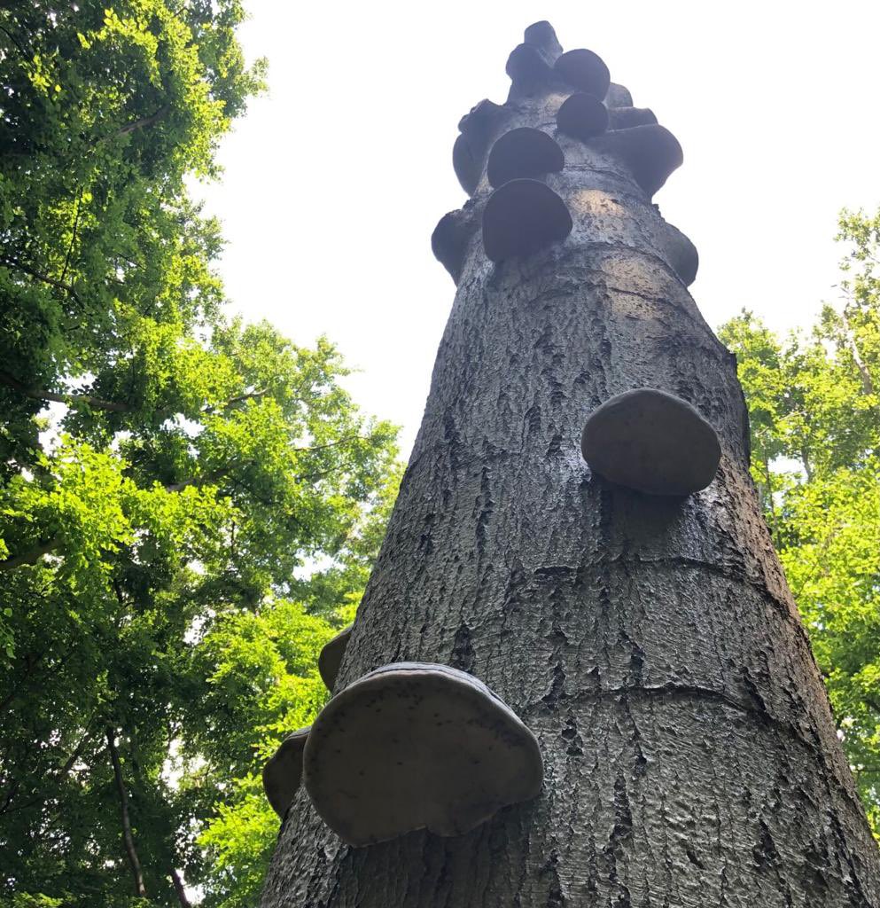 ZO SCHRIJF JE (jezelf omhoog)

Lees onze nieuwste nieuwsbrief #kortishot🧯:
deschrijfschool.com/?mailpoet_rout…

Goeie herfst,
Manou van de Zande &amp; Evelyn Strube

De Schrijfschool | Rotterdam