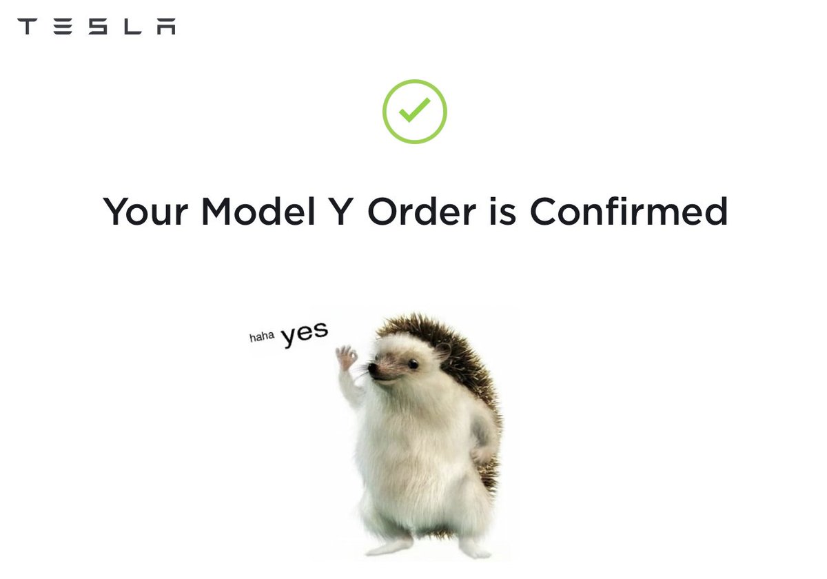 sELECTROclash's tweet photo. @WillFealey TODAY IS FINALLY THE DAY!  @Tesla Model Y  orders open in the UK! https://t.co/LKkzzrimQi