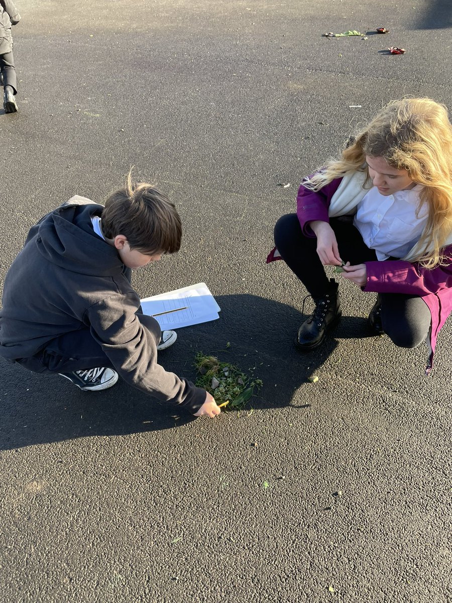 Miss_LDuncan's tweet photo. P5/6 enjoyed working together, being creative and learning new French vocabulary outdoors. We did a scavenger hunt, created collages using materials we had gathered, then described them in French. @Cuiken_Primary #OU_SCILT #1plus2 https://t.co/zVTIyg3Ekc