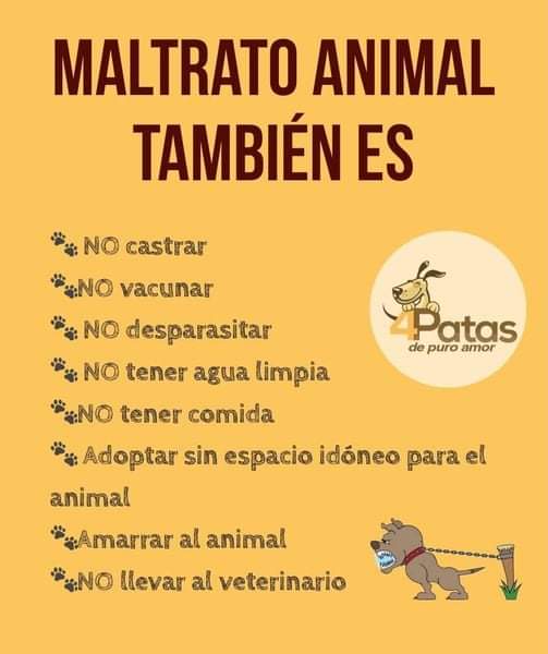 Perros de Merlo tweet media