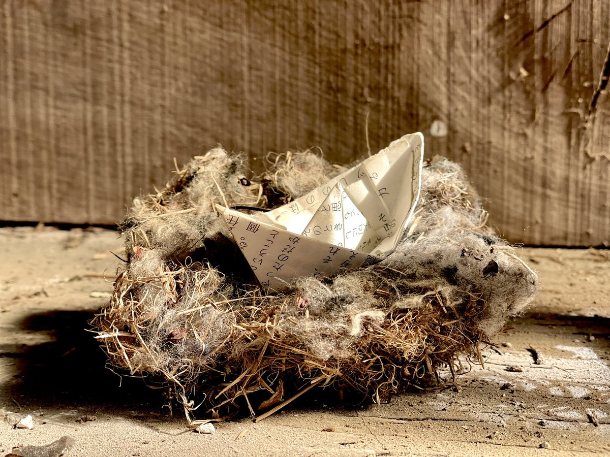 Friday workshop musings. Japanese newspaper origami boat in a nest. All subjects close to me. #nest #japan #paperboat #origami #newspaper #boat #flint #flintwork #flintwall #fieldflint #ouse #southdowns #sussex #craft #flintknapper  #workshop #hat #nest #musings #stonemasonry