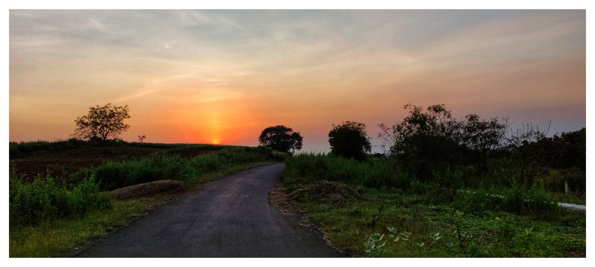 MaheshRokade's tweet image. #Wallpaper...🧡
#PocoX3 #photography #GCam #Micro #portrait #माझा_क्लिक #Nature #निसर्ग  #Edited #म #वाटा #POCO #photography  #Sunset #Sun #india #maharashtra #Osmanabad #Hobby #Gunjewadi #Evening #mobilephotography #click #views #WildLife #sky #विरंगुळा 🤪