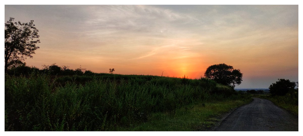 MaheshRokade's tweet image. #Wallpaper...🧡
#PocoX3 #photography #GCam #Micro #portrait #माझा_क्लिक #Nature #निसर्ग  #Edited #म #वाटा #POCO #photography  #Sunset #Sun #india #maharashtra #Osmanabad #Hobby #Gunjewadi #Evening #mobilephotography #click #views #WildLife #sky #विरंगुळा 🤪