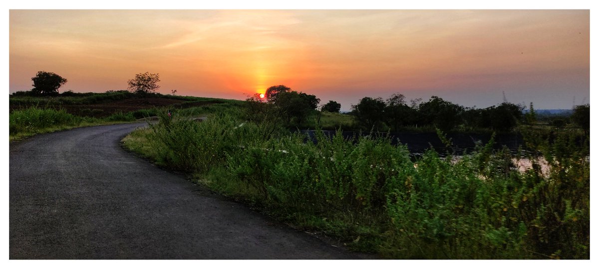 MaheshRokade's tweet image. #Wallpaper...🧡
#PocoX3 #photography #GCam #Micro #portrait #माझा_क्लिक #Nature #निसर्ग  #Edited #म #वाटा #POCO #photography  #Sunset #Sun #india #maharashtra #Osmanabad #Hobby #Gunjewadi #Evening #mobilephotography #click #views #WildLife #sky #विरंगुळा 🤪