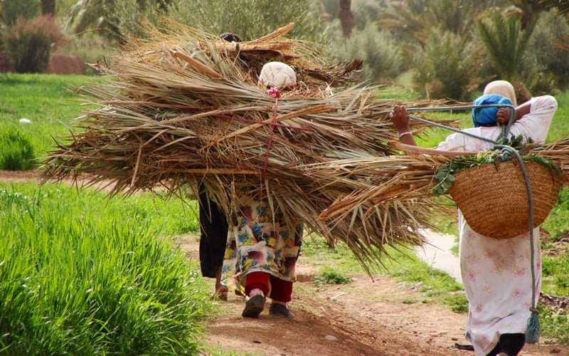 EngageesLa's tweet photo. Revendiquons des zones rurales dans lesquelles ces agricultrices, pour beaucoup d'entre elles issues de l'économie informelle et à la fois ménagères et aides familiales, peuvent avoir les mêmes opportunités que les hommes.
#jifr #Guinee #Kibaro https://t.co/rABbzxWUtR