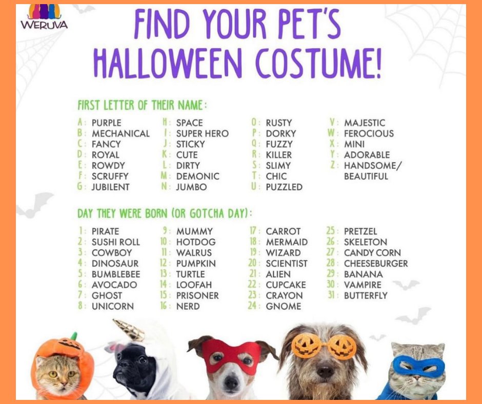 PawsPurrsBark's tweet photo. 🎃 What's your pet's costume name this year? 🕷🕸🪦  #pawspurrsbark #halloween #halloween2021 #halloweencostume #doglover #doglovers #dogsofig #instadogs #dogsofinstagram #instagramdogs #cat #catlover #catlovers #catsofig #instacat #instagramcats #halloweencats #catsofinstagram https://t.co/XdMkxRrH5r