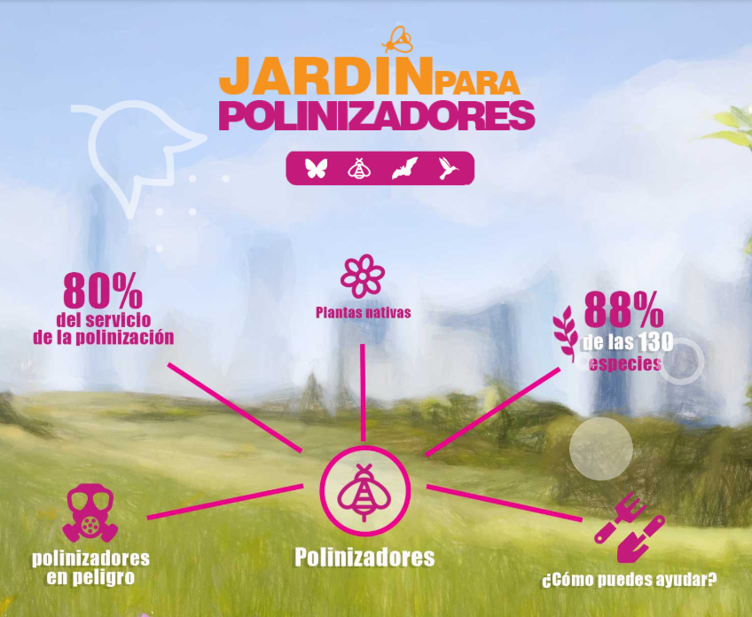 CONABIO's tweet photo. ¿Te gustaría tener tu propio jardín para polinizadores? 
Visita https://t.co/qODsh5g3vW ahí podrás encontrar toda la información que necesitas. https://t.co/x9qP6yJ3gw