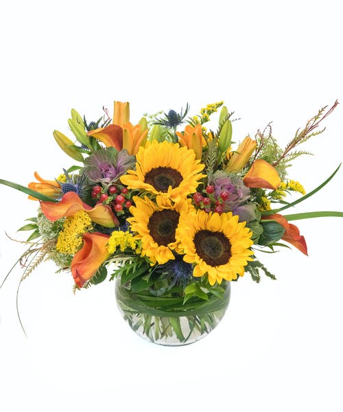 csflorist's tweet photo. #Autumnflowers are in full bloom. 😍 Send warmth and thanks with this delightful bouquet overflowing with #OrnamentalKale, #Thistle, #HypericumBerries, #Sunflowers, and #Lilies. 👏💐
https://t.co/oICcuGBUie https://t.co/fznhDpl8yB