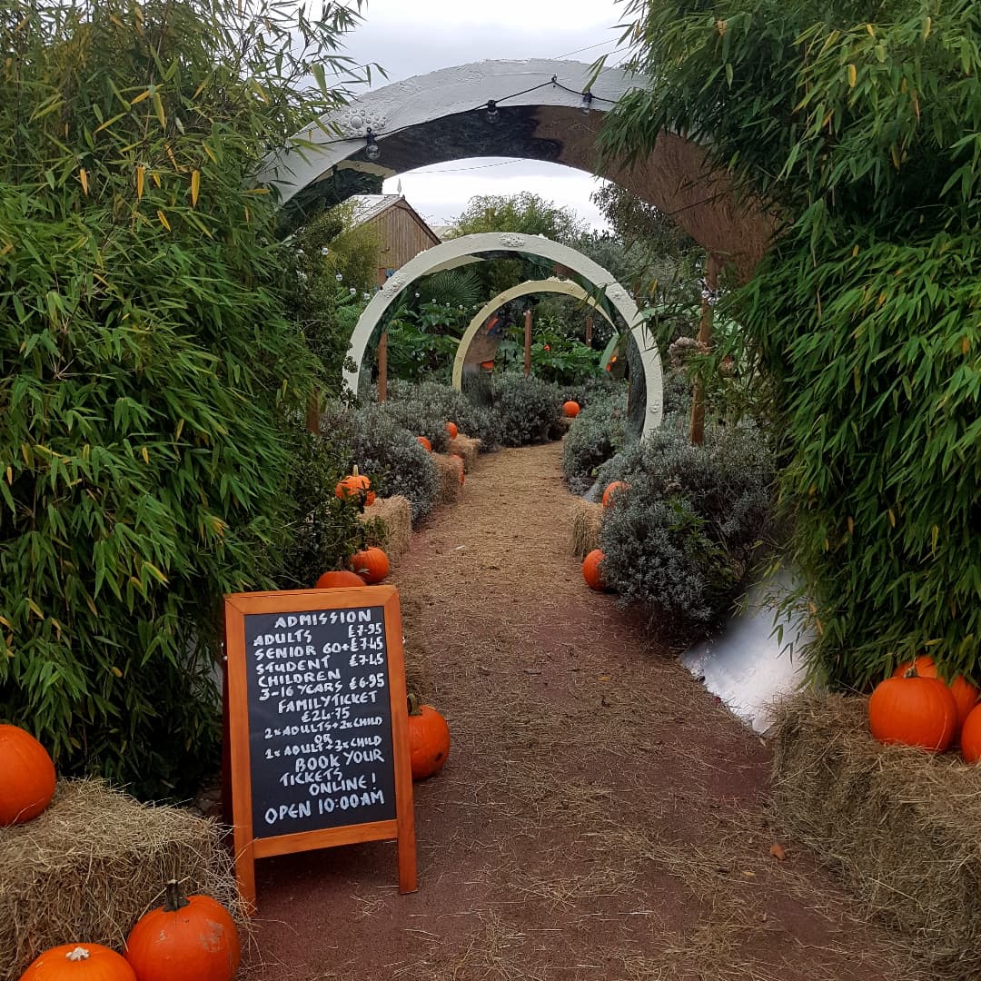We've had great fun preparing the #butterflyfarm for #OctoberHalfTerm
We hope you like the outdoor photo booth & don't forget to tag us in your spooktacular photographs #stratfordbutterflyfarm 
 🎃🦋🎃🦋🎃 @ShakespearesEng @PTBham @Stratforward @moreWarwick @BeccasButterfli
