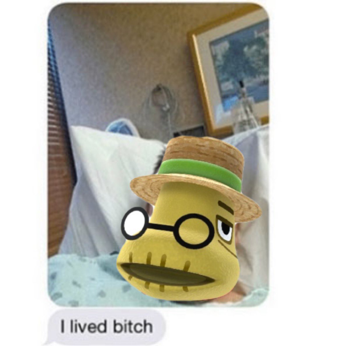 skorpionas_ac's tweet photo. #acnh #AnimalCrossing #AnimalCrossingDirect #tortimer https://t.co/xcdIIMEUbW
