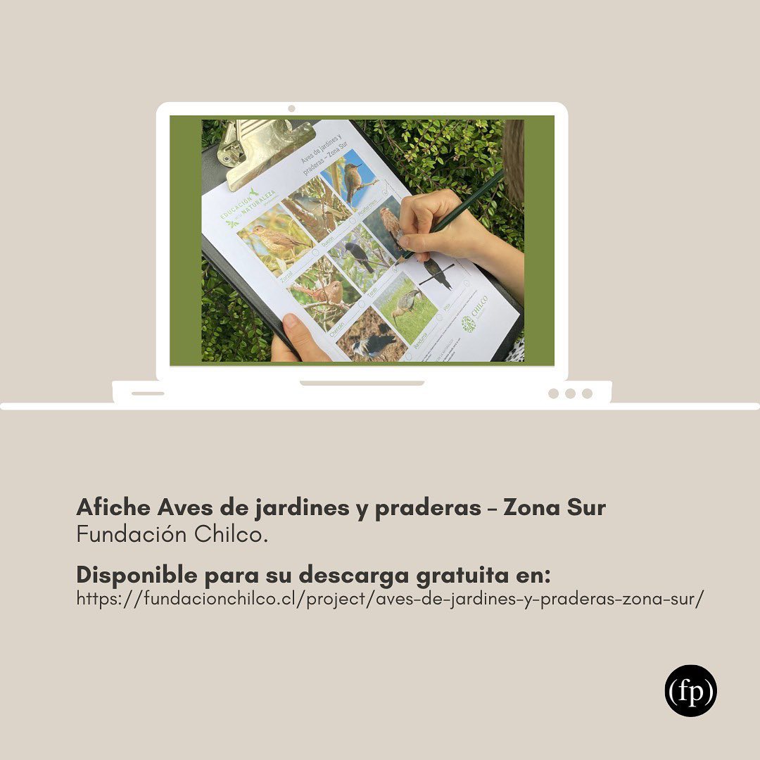 Ya están nuestras #RecomendacionesLectoras del mes, centradas en uno de los elementos principales de la #BILIJ: las #AvesMigratorias. Embajadoras de la biodiversidad que al atravesar los continentes, unen  culturalmente las naciones. Revísalas en el IG: bit.ly/3n0JFM7 🦜