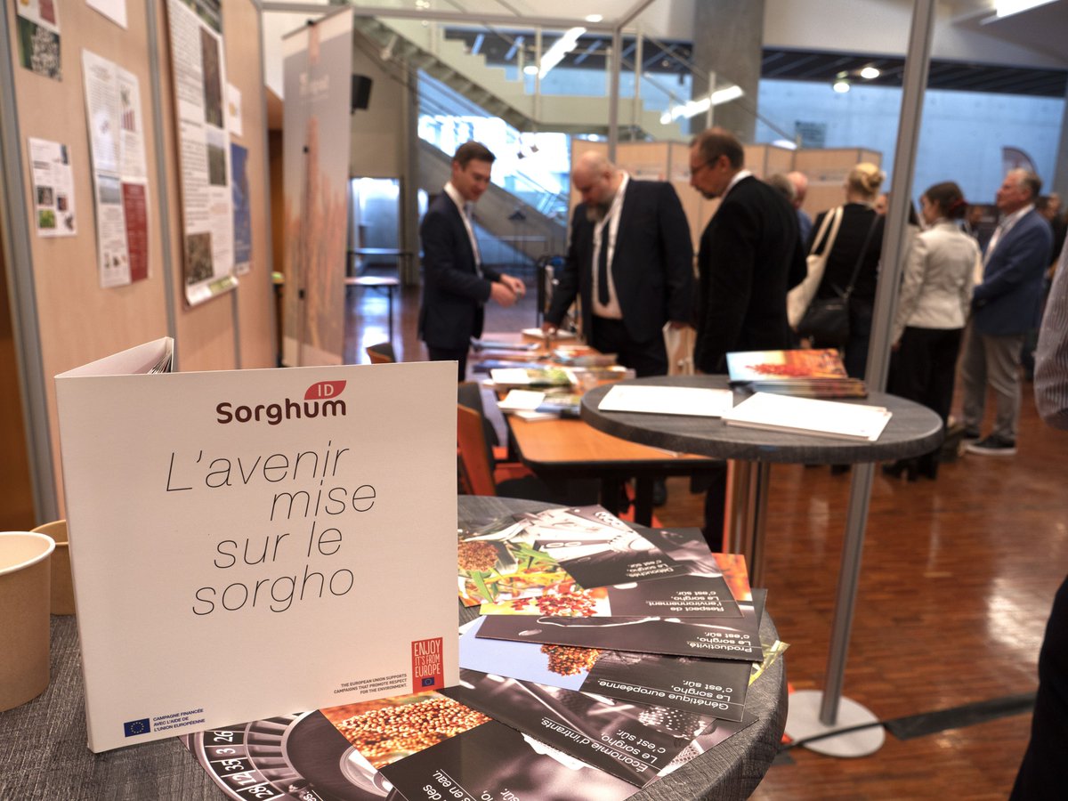 Fin du Congrès Européen du Sorgho 2021: le #sorgho est bel et bien un atout pour notre avenir!
Merci à <a href="/MarieCecile75/">MC Damave</a> pour l’animation de cet événement et aux différents intervenants qui ont su enrichir les connaissances des acteurs de la filière! #sorghumcongress #seedsforfuture