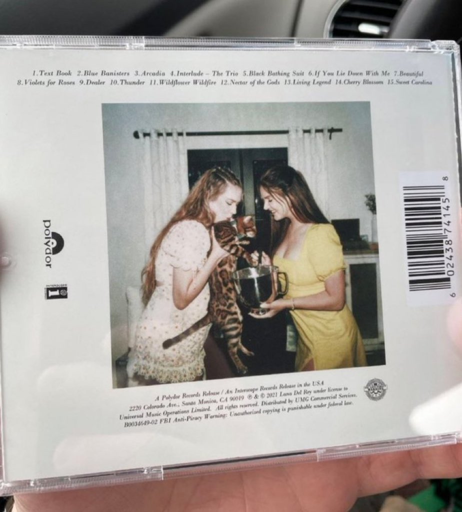 LanaDReyOnline's tweet photo. Back cover of Blue Banisters https://t.co/2IHWNq1YG4