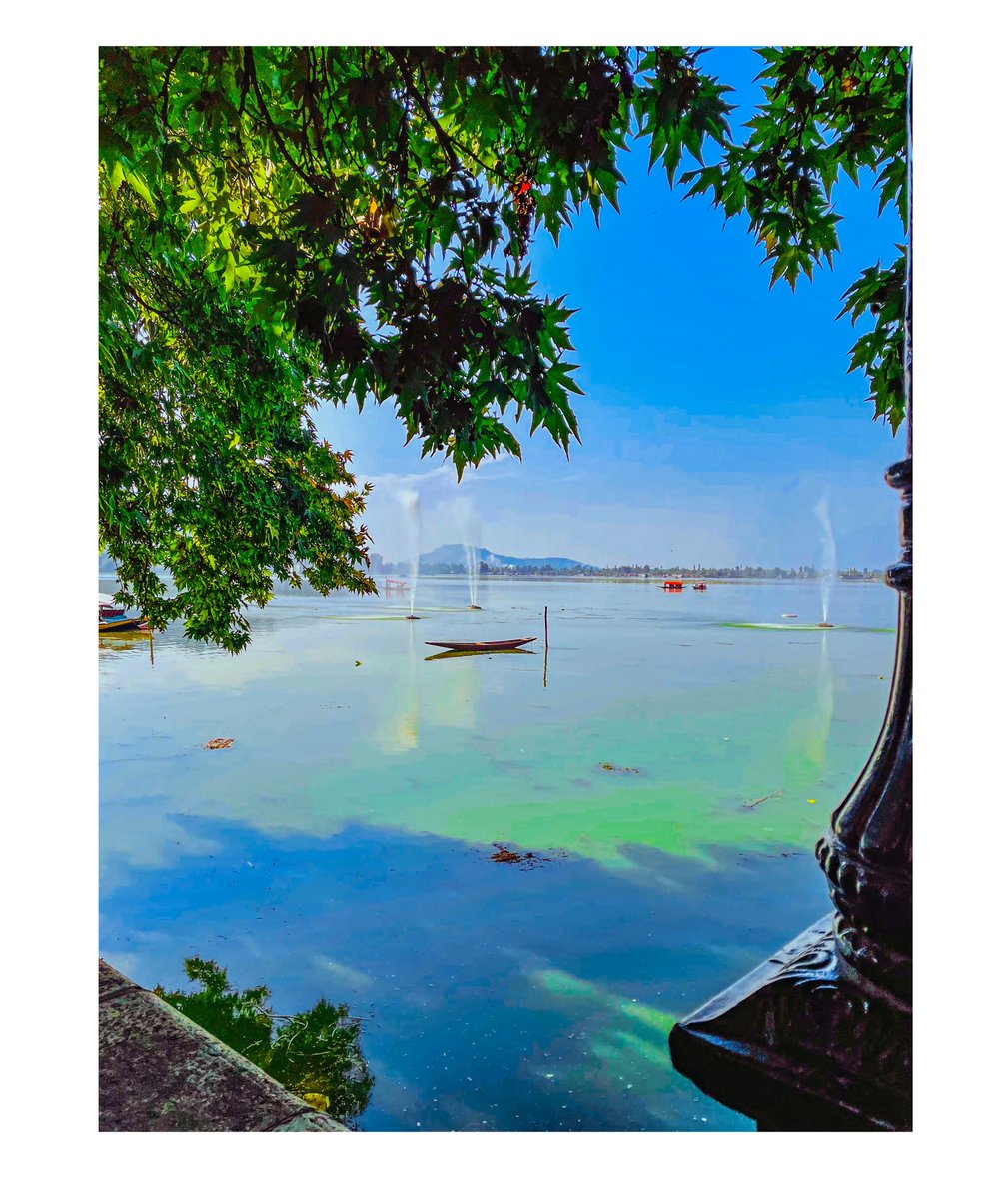 HtetIamburhan's tweet photo. If there is heaven on earth it’s here, its here, its here.
-jahangir-
_________________________
#art #instagood #fun #instagramers #model #food #smile #pretty #followme #nature #lol #amazing #dallake #kashmirtourism #kashmir #wuchubaaya #beauty_of_kashmir #capturedillusions https://t.co/WbXELSeBxu
