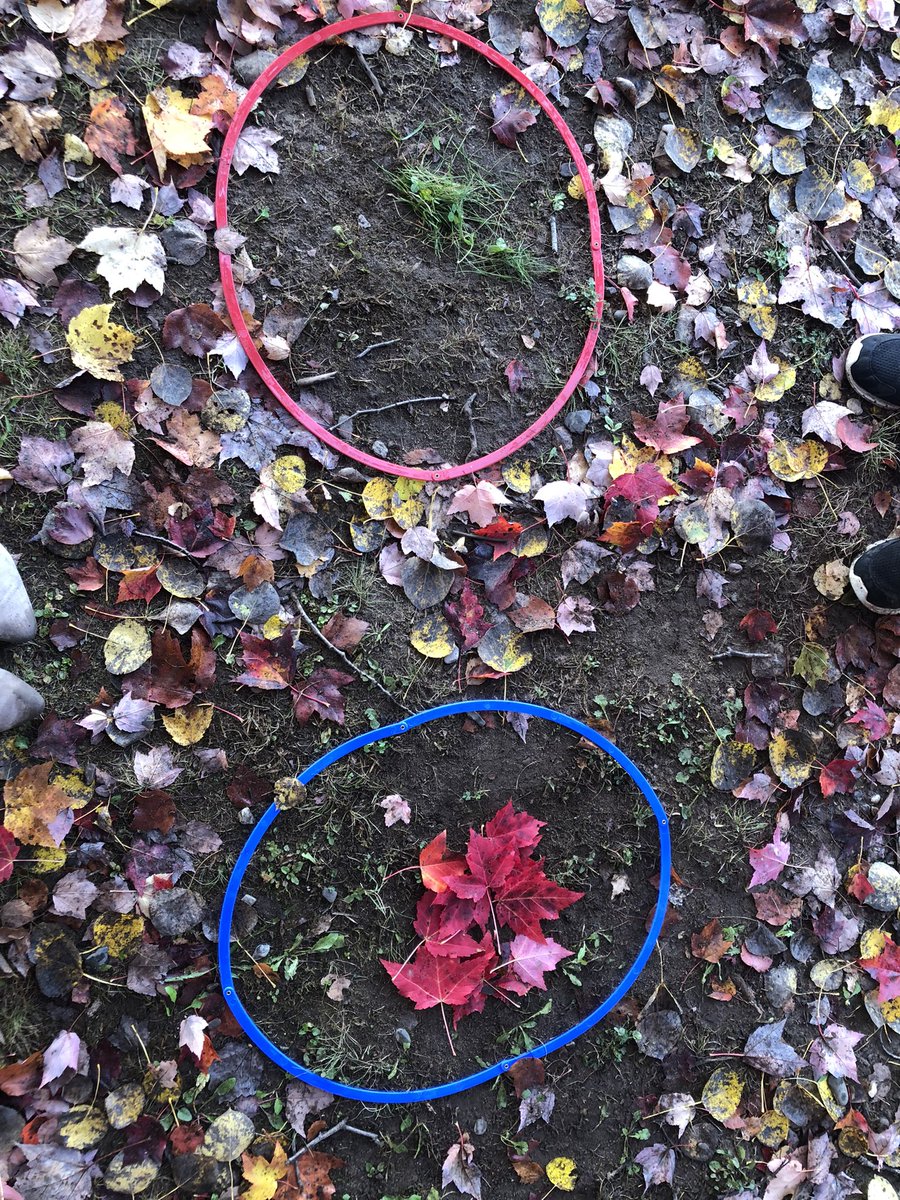 Working on our sorting outside! <a href="/AnnapolisEast/">AEES</a> <a href="/avrce_ps/">AVRCE Programs and Services</a> 🍁☀️