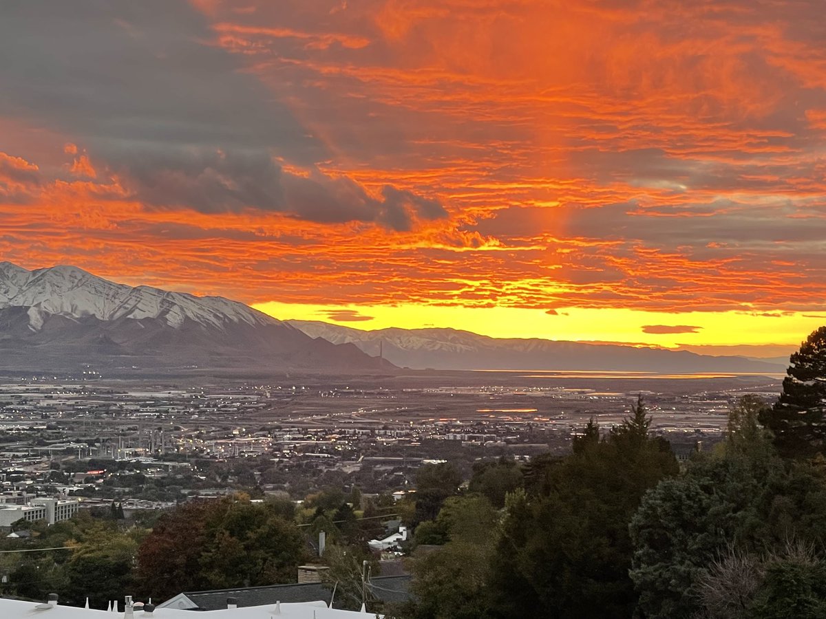 Jim Hotaling, M.D. tweet media