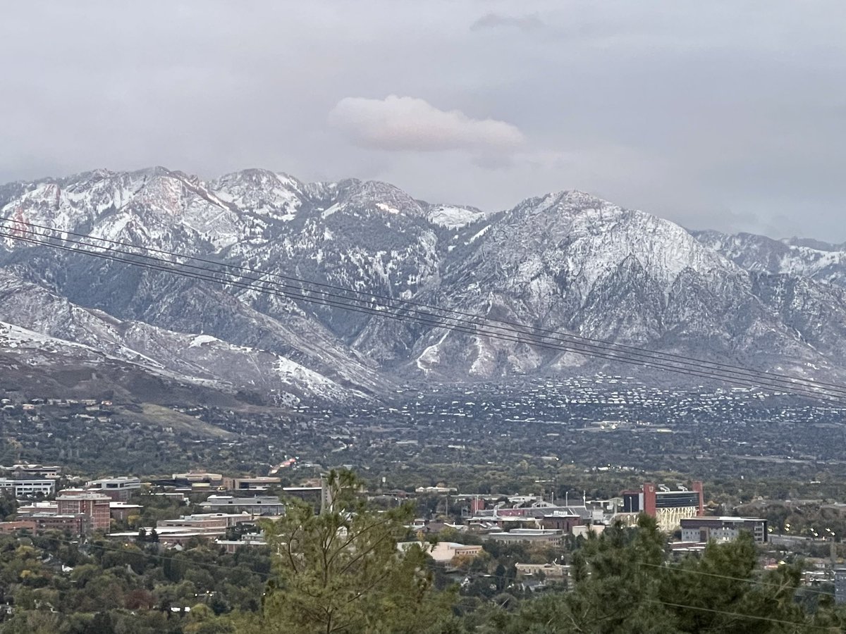 Jim Hotaling, M.D. tweet media