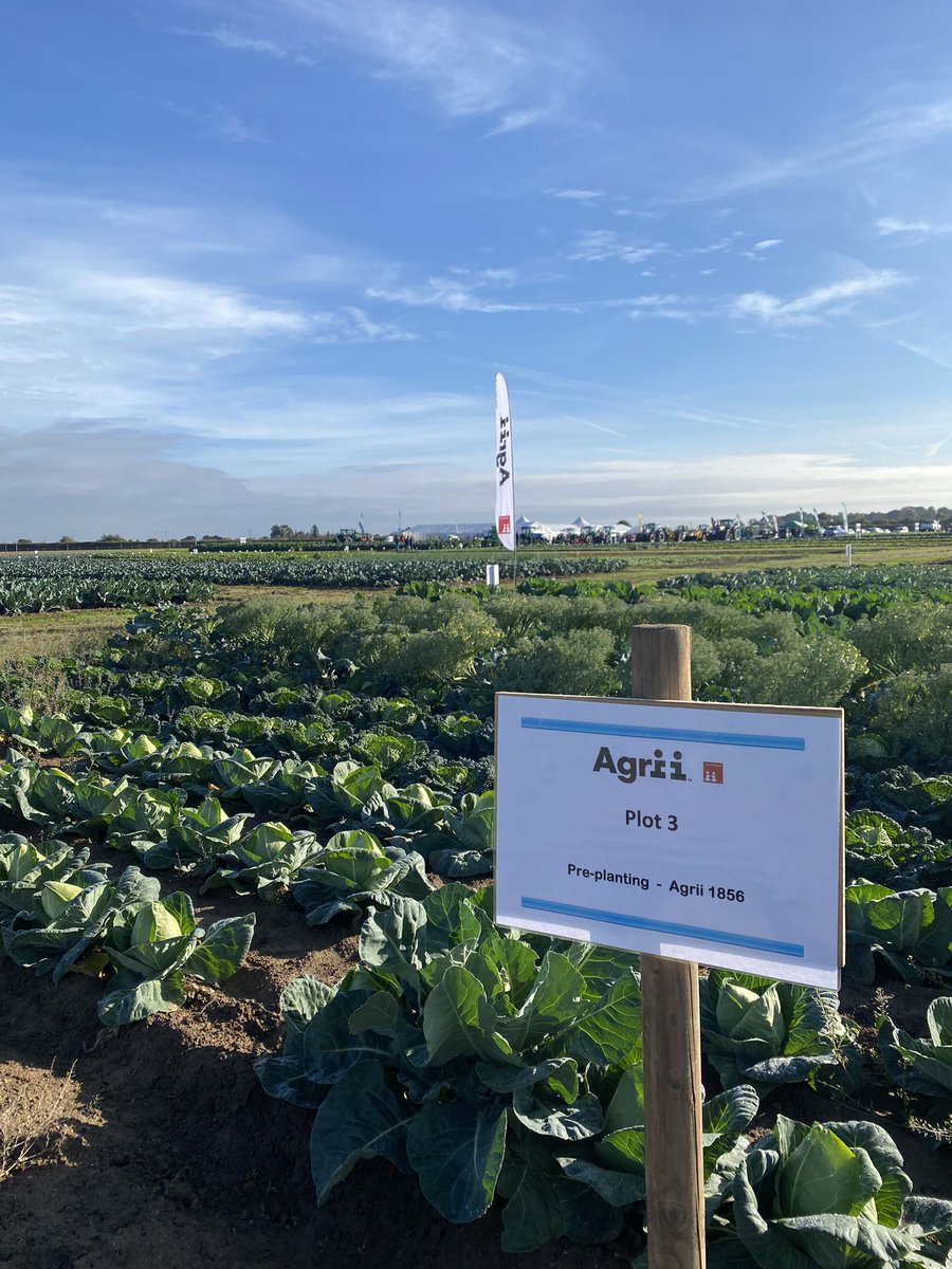 A very timely #podcast from <a href="/AgriiUK/">Agrii</a> after the <a href="/Elsomsseeds/">Elsoms Seeds</a> day. Listen to our very own <a href="/Kathrynstyan/">Kathryn Styan</a> talking top tips for #veg growers 🥦🥕🥬
Website: loom.ly/n_P2oS0
Apple: loom.ly/6fLp-zA
Google: loom.ly/KyezSxo
Spotify: loom.ly/Jx8ngjA