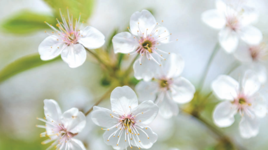 A partir del 10 nov. se celebra el Curs de Formació en #DolPerinatal amb l'objectiu de proposar una anàlisi i reflexió sobre com els professionals poden oferir una millor atenció en els casos de mort perinatal. #AulaVH 

Consulta el programa a vhc.cat/curs-dol-perin…