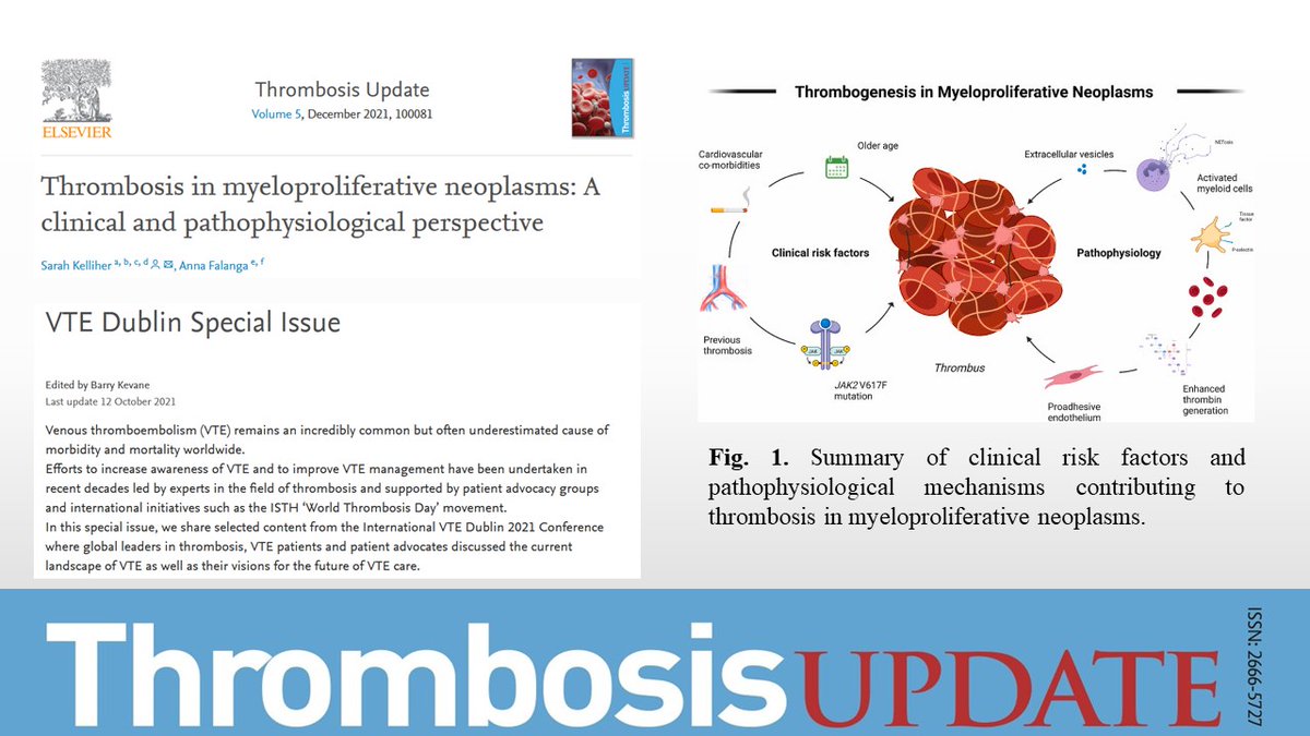 ThrombUpdate's tweet photo. New Review!📰

As part of our #VTEDub21 special collection, @_sarahkelliher🇮🇪 &amp; @AnnaFalanga19🇮🇹 have reviewed #thrombosis in myeloproliferative neoplasms. 

Review here➡️https://t.co/8cR0joiC3c
#VTEDub21 collection here➡️https://t.co/44kye5abcW https://t.co/UTutHeDbo5