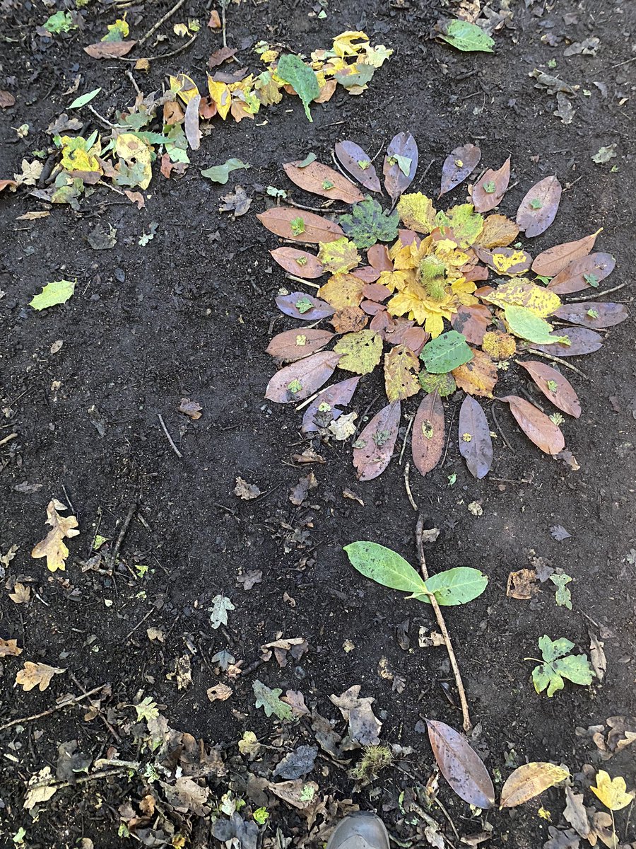 GorseyFS's tweet photo. @GorseyY3 used Autumn leaves to create some beautiful Andy Goldsworthy inspired wild art today πΏπ±#gorseyfs #gorseyart https://t.co/ctga8ydkDe