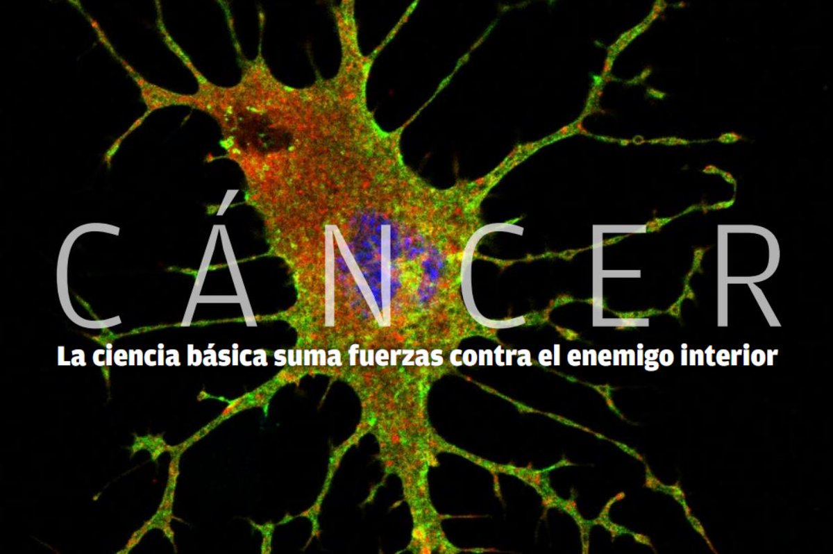 ¡Bienvenid@s a nuestra cuenta oficial!

Conexión Cáncer es una iniciativa, coordinada por <a href="/NietoAngela/">Angela Nieto</a> y <a href="/XRBustelo/">Xose R Bustelo</a>, que nace con el objetivo de aunar la investigación en cáncer que se realiza en el <a href="/CSIC/">CSIC</a>.

Aquí encontraréis todas las novedades relacionadas con nuestra red.