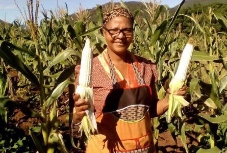 U.N. food &amp; agriculture agencies are critical for supporting small-scale food producers &amp; for dialogue on policy development! On #RuralWomanDay, the U.S. must support the U.N. system as the most transformative multilateral space for intl. cooperation! bit.ly/3AFsWmd