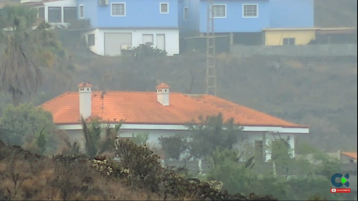 lidianafavareto's tweet photo. Animales abandonados en La Palma 🐔
Ya se han visto otros animales
 🐔🐶🐱
#lapalma #volcan #animal #spain #vulca #vulcao #vegan #vegetarian https://t.co/sFESXhwDla