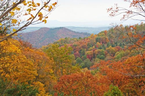 revmahoney's tweet photo. “Nothing behind me, everything ahead of me, as is ever so on the road.”― Jack Kerouac.  Heading out on weekend road trip to check out the fall colors in Virginia.  #OnTheRoad #FallRocks #ColorMyWork #TheEarthIsTheLords #Fall #Foliage https://t.co/UGMhJpwg98