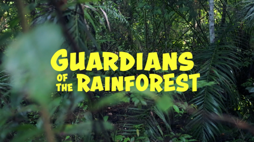 FairtradeUKEd's tweet photo. It's #ChocolateWeek! 🍫 

Learn about forest-friendly cocoa farming in the great Gola Rainforest in this inspiring short film for students of all ages > https://t.co/VTufa1gsvV
#GuardiansOfTheRainforest 🌴 https://t.co/Z1NSSIFkzW