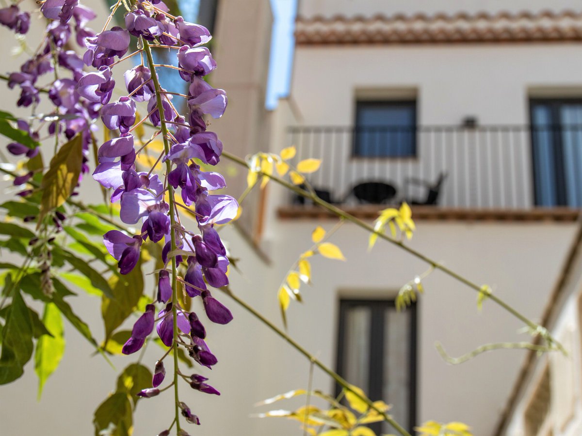 Sobre la Castanyada i Tots Sants i enguany amb un pont de 3 dies ideal per fer una petita escapada! Aquesta és la nostra PROMOCIÓ especial:
> Reserva 2 nits i et regalem una ampolla de cava, panellets i castanyes. 🌰
* Vàlid per als dies 30 i 31 d'octubre i 1 de novembre.