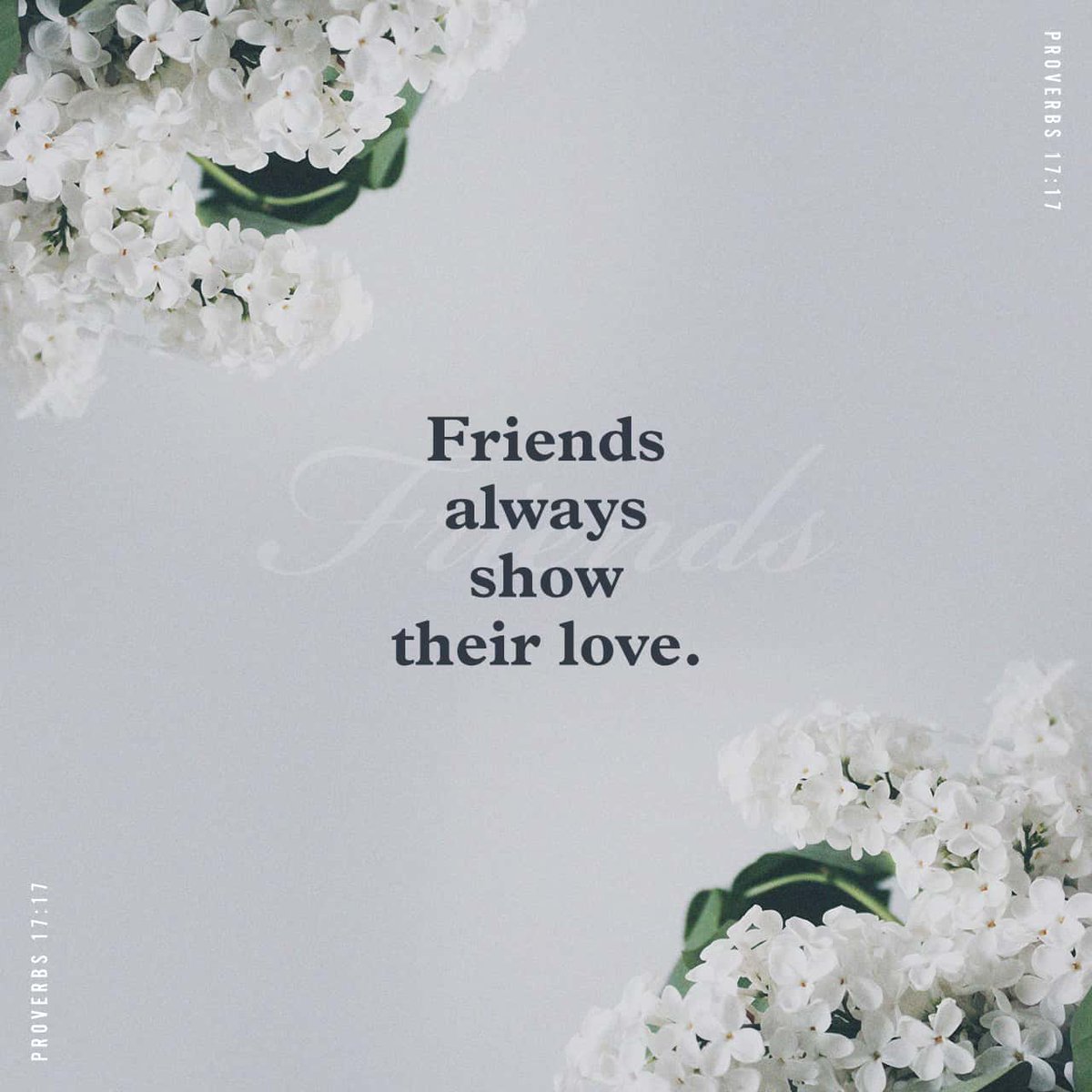 YouVersion's tweet photo. Proverbs 17:17 https://t.co/hwQviC5TdO