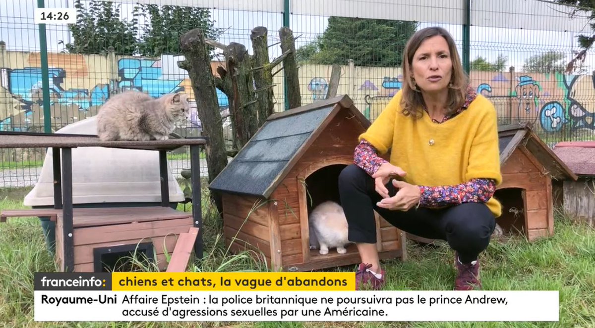 🐱 +de 100 000 animaux sont abandonnés chaque année. Et ça ne s'est pas amélioré pendant la pandémie (au moins +14%)
🐶 Alors si vous souhaitez accueillir nos amis chienchoux et chachoux, souvenez-vous: n'achetez pas, adoptez! #adoption #protectionanimale #PPLanimaux #miaou