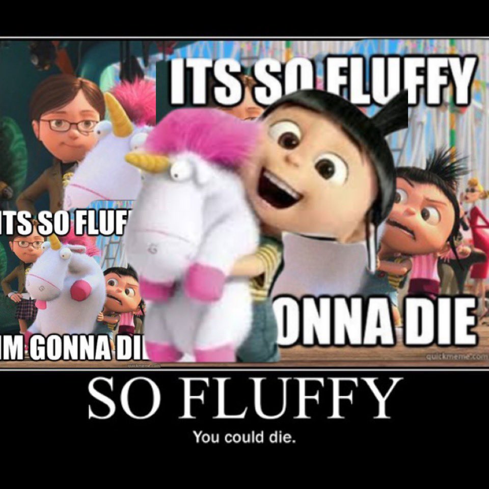 Has any pony seen this ??? The people have to know ! Funniest evear