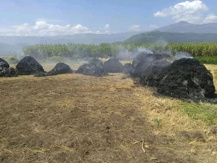 FitsumT48318444's tweet photo. Terrorist attacks on Amhara farmers are on the rise!😭😭

 Farmers' teff pile in North Shoa Zone of Amhara State. As a result, more than 1 million properties were destroyed!😭😭 https://t.co/NVtzg5vlTS