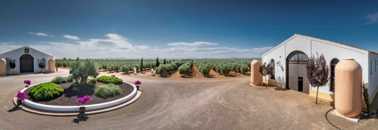 eljoventintero's tweet photo. Oleoturismo, una experiencia gastronómica en alza. @Olivapalacios se estrena, pudiendo conocer su finca Los Palacios donde se elabora el AOVE nº1 del mundo
https://t.co/GcEa8twfuZ #oleoturismo #palaciodelosolivos https://t.co/6WIUtAgXBo
