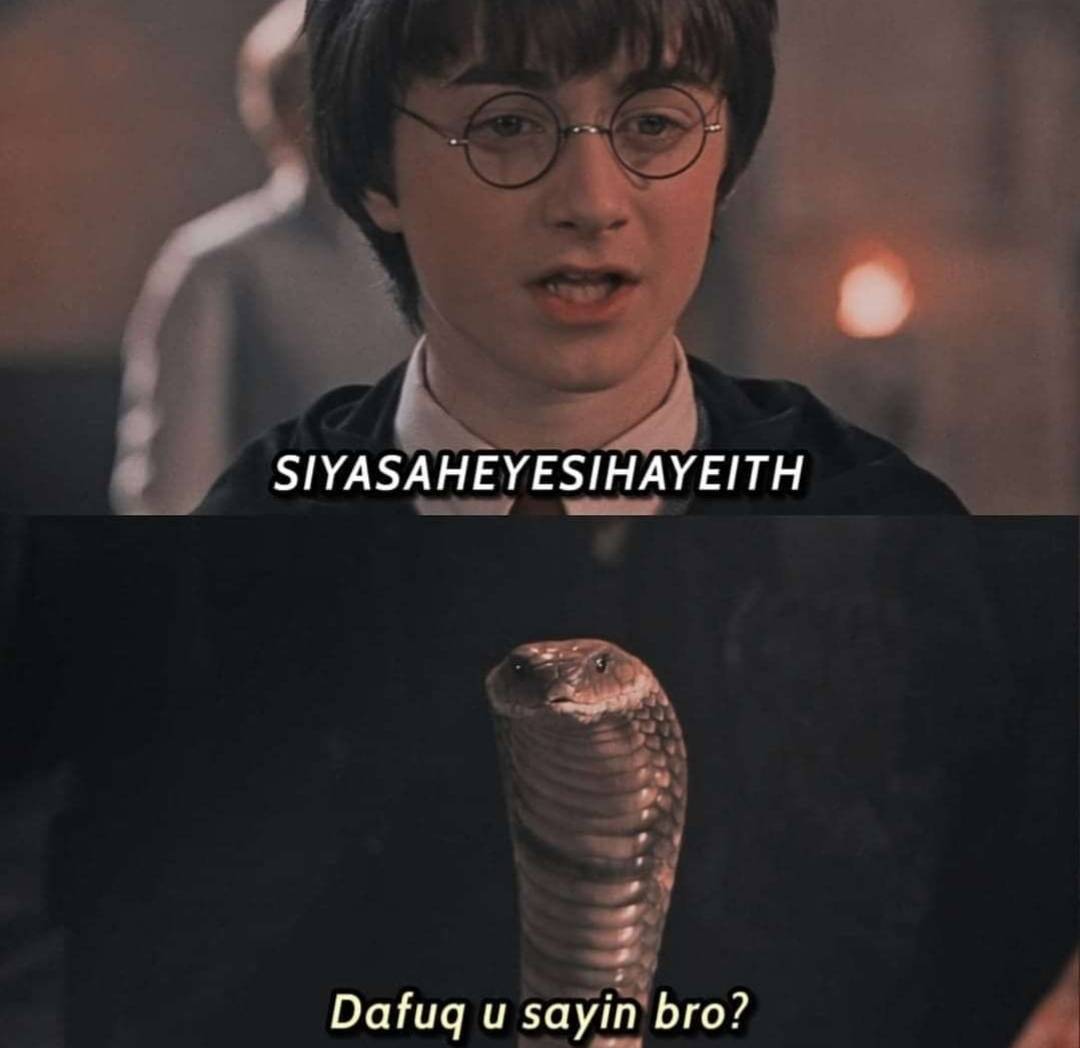 Os melhores memes de Harry Potter #harrypotterfan