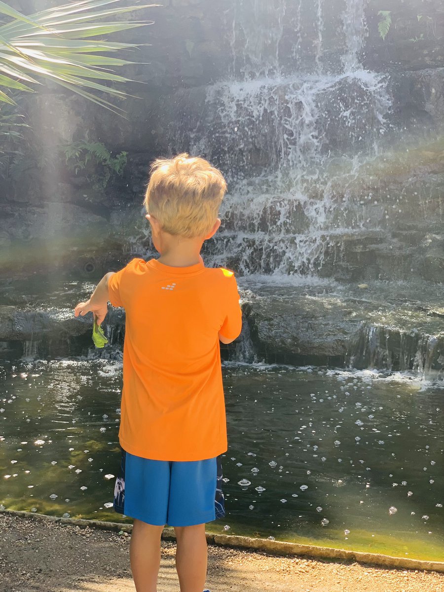 BrandiRPierce's tweet photo. Staff development day for teachers means an extra day to play - Keegan explored the @ZilkerGarden on Monday. #lovewhereyoulive #ATX https://t.co/N5xjQaMeKS