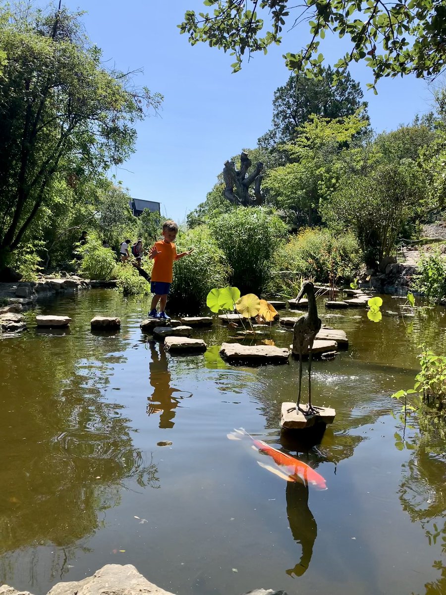 BrandiRPierce's tweet photo. Staff development day for teachers means an extra day to play - Keegan explored the @ZilkerGarden on Monday. #lovewhereyoulive #ATX https://t.co/N5xjQaMeKS