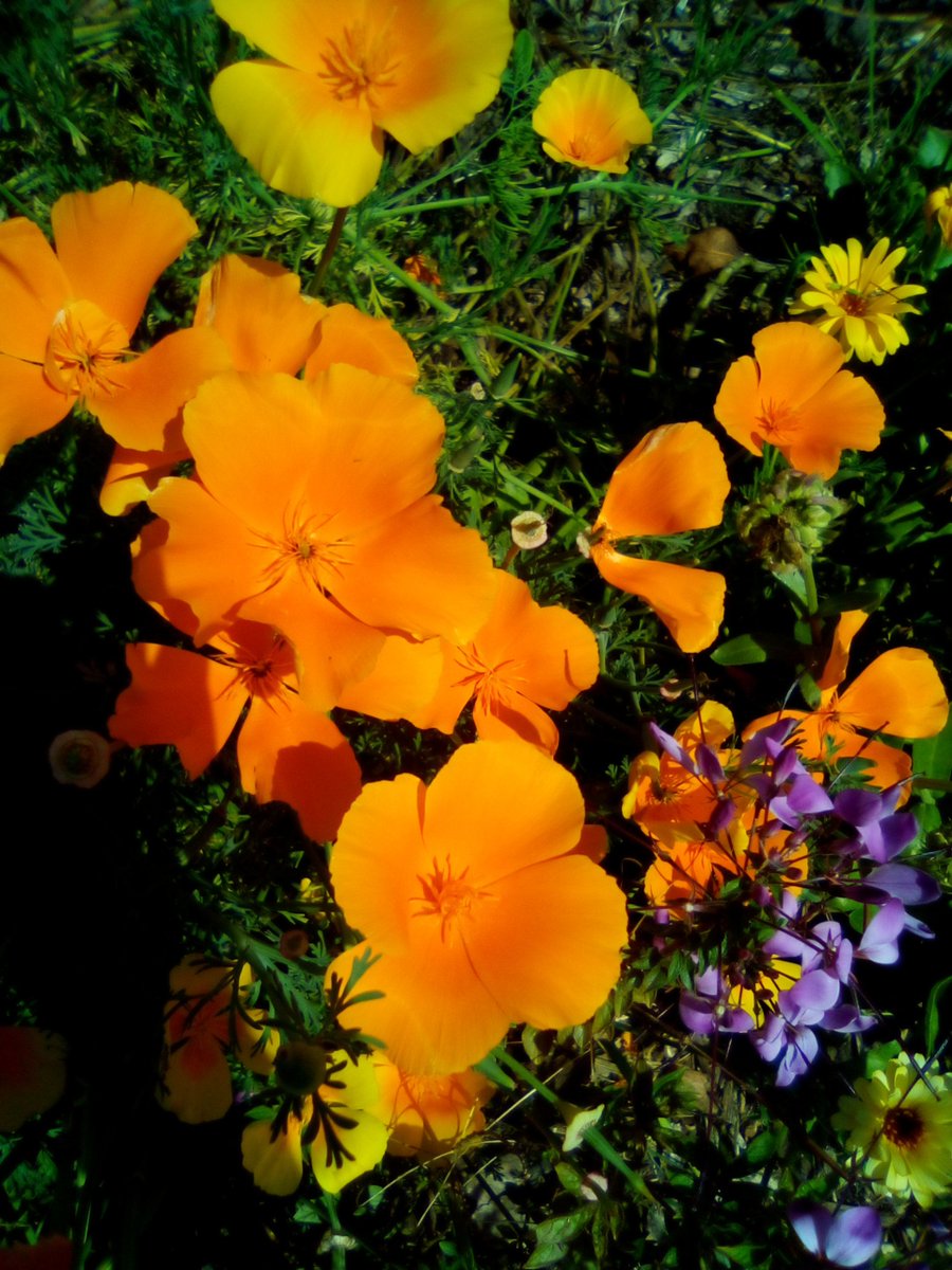 Art By Jonathan (@jonatha05532126) on Twitter photo 