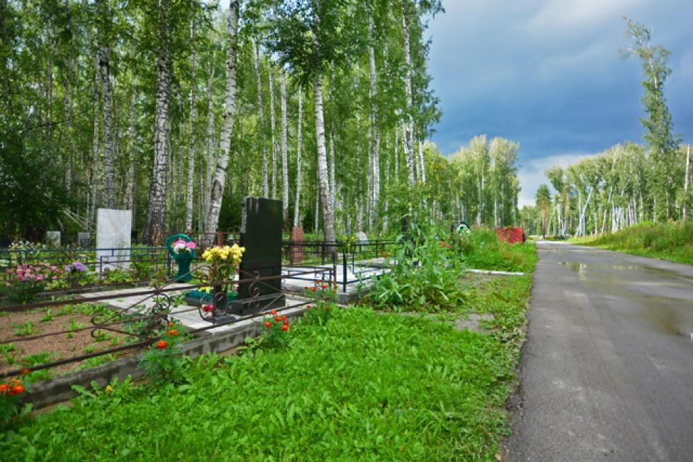 Заельцовское кладбище новосибирск найти могилу. Заельцовское кладбище Новосибирск. Военное кладбище Новосибирск. Инское кладбище в Новосибирске. Гусинобродское кладбище Новосибирск.