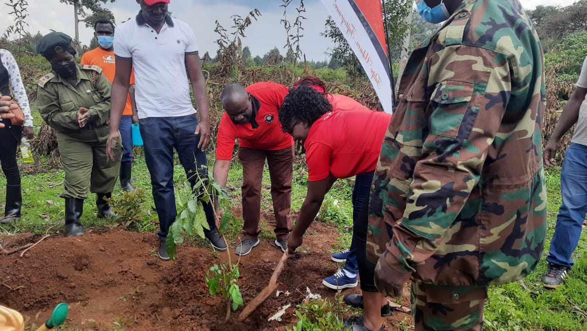 KRACare's tweet photo. We have planted over 5,000 trees in the Western region, 2,600 in Southern Region, and 2,500 in South Rift Region.
#ProjectGoGreen #TaxpayersMonth2021 #Treeplanting #SDGs #SDG #ClimateAction https://t.co/vZq1hIsGet