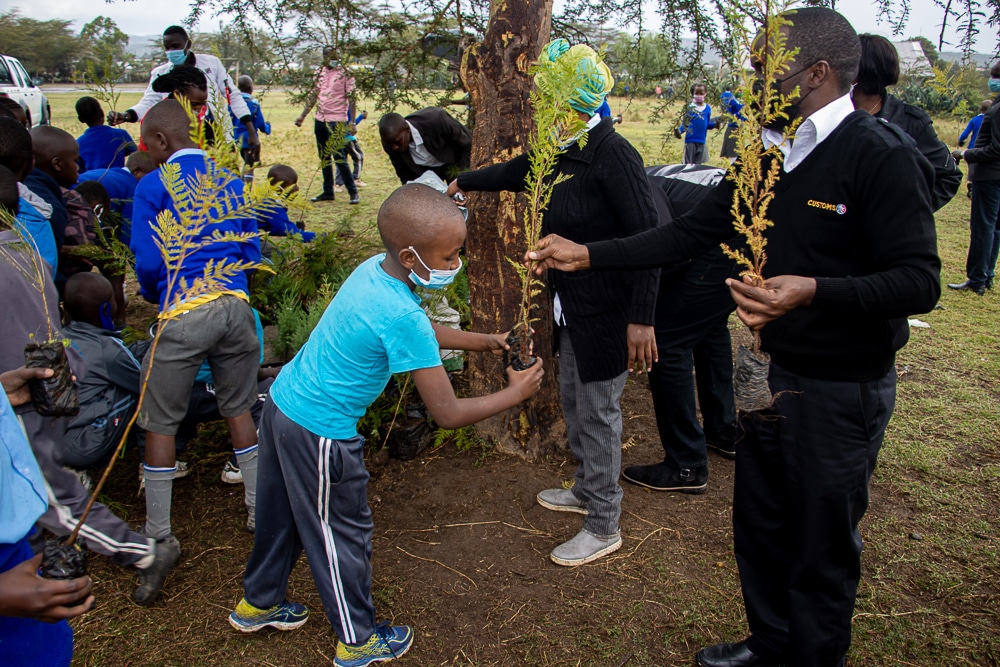 KRACare's tweet photo. We have planted over 5,000 trees in the Western region, 2,600 in Southern Region, and 2,500 in South Rift Region.
#ProjectGoGreen #TaxpayersMonth2021 #Treeplanting #SDGs #SDG #ClimateAction https://t.co/vZq1hIsGet