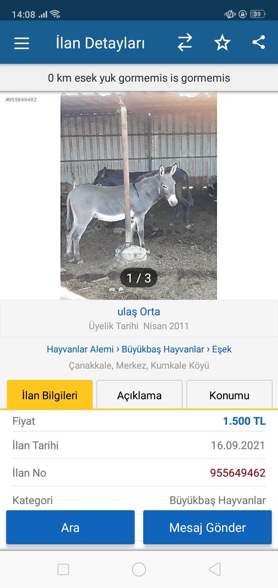 'Motorine 41' kuruş zamdan sonra favoriye aldım