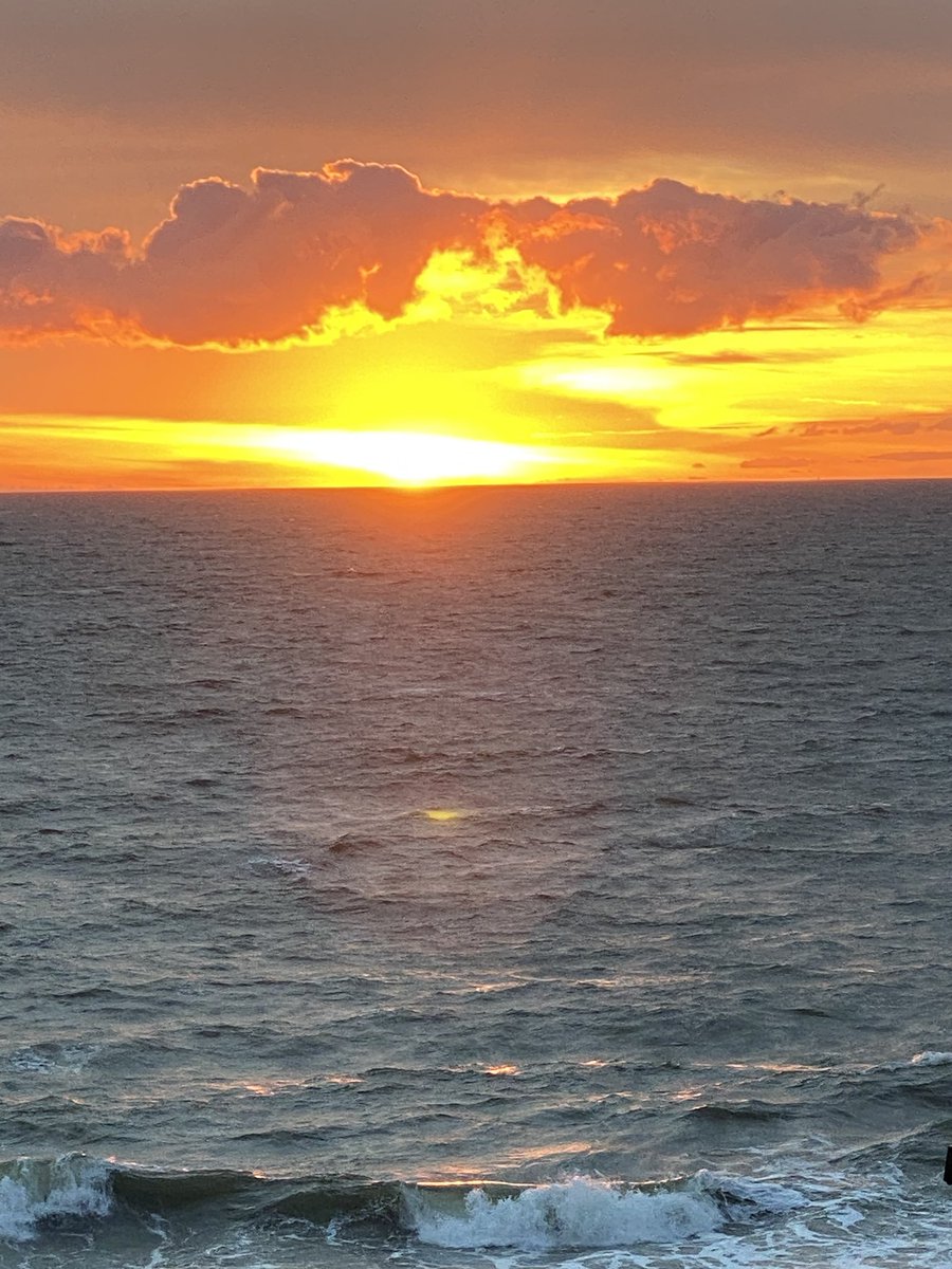 Betty Fields tweet media