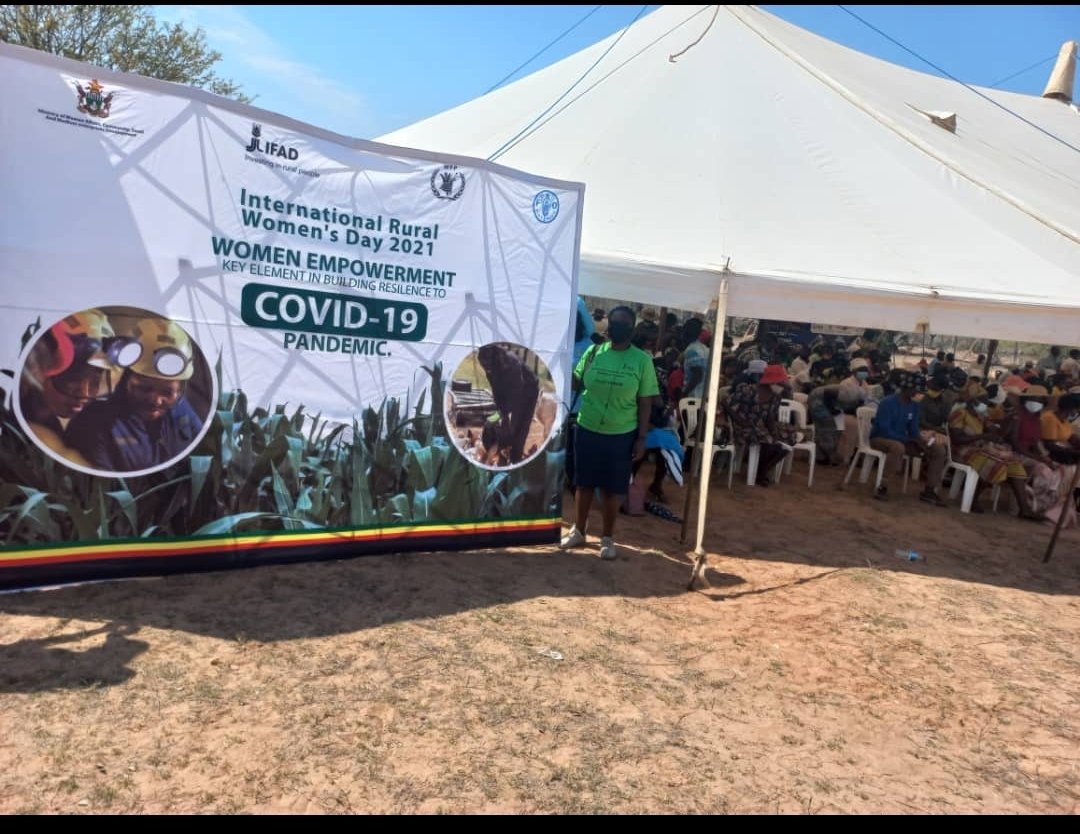 patiemash's tweet photo. Today we celebrate our hard working women living in rural areas. Happy International Rural Women's Day. You are the engine of our agricultural transformation, and we indeed salute you #RuralWomensDay #agrictransformation #yeswecan #womensempowerment @basera_john @MoLAFWRR_Zim https://t.co/1YjZLThbVH