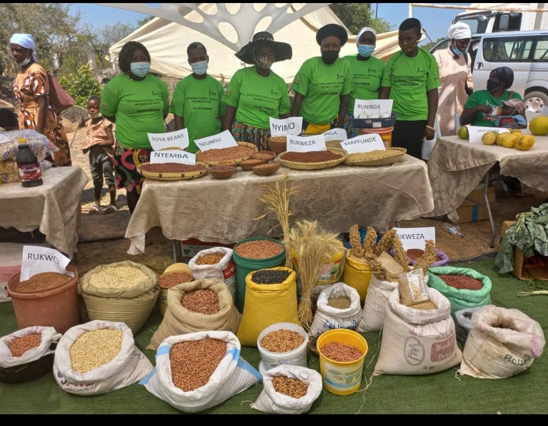 Today we celebrate our hard working women living in rural areas. Happy International Rural Women's Day. You are the engine of our agricultural transformation, and we indeed salute you #RuralWomensDay #agrictransformation #yeswecan #womensempowerment <a href="/basera_john/">John Basera</a> @MoLAFWRR_Zim