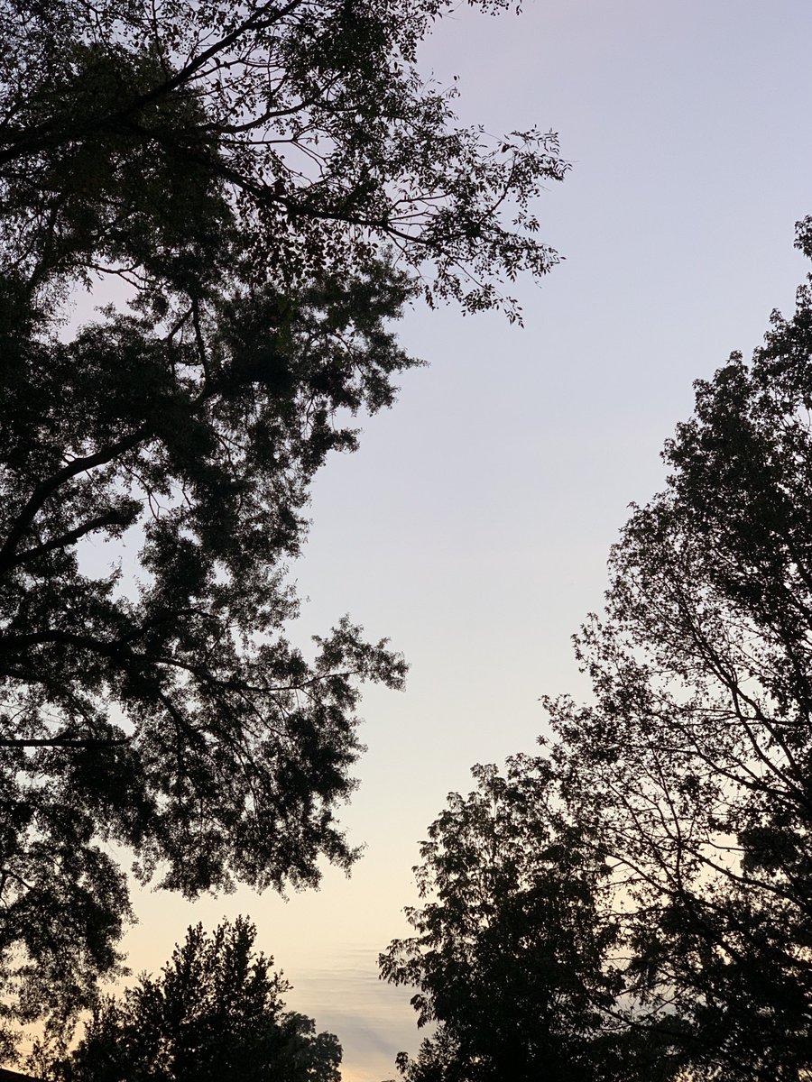 sokamoto's tweet photo. Good morning, Columbus! #ColumbusGA #mydailyphoto #10/15/2021 #2021project #upearly #cloudy #sunnotupyet #cool&amp;humid #butverypleasant #nobreeze #birdswakingup #cicadasnotsoloud #neighborsdogsbarking #soisMochi https://t.co/wHTBp2jaN7