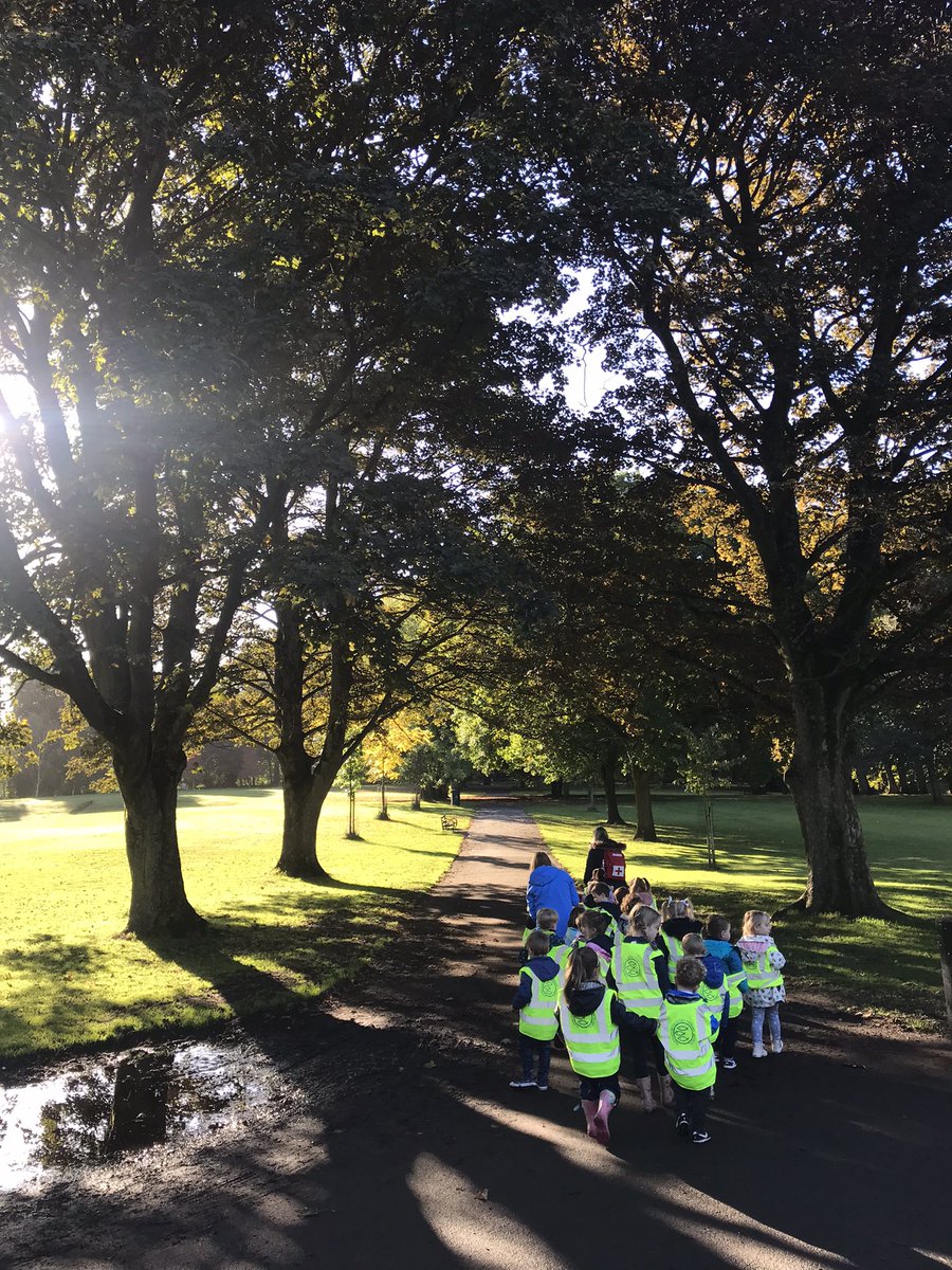 Forest School ACE tweet media
