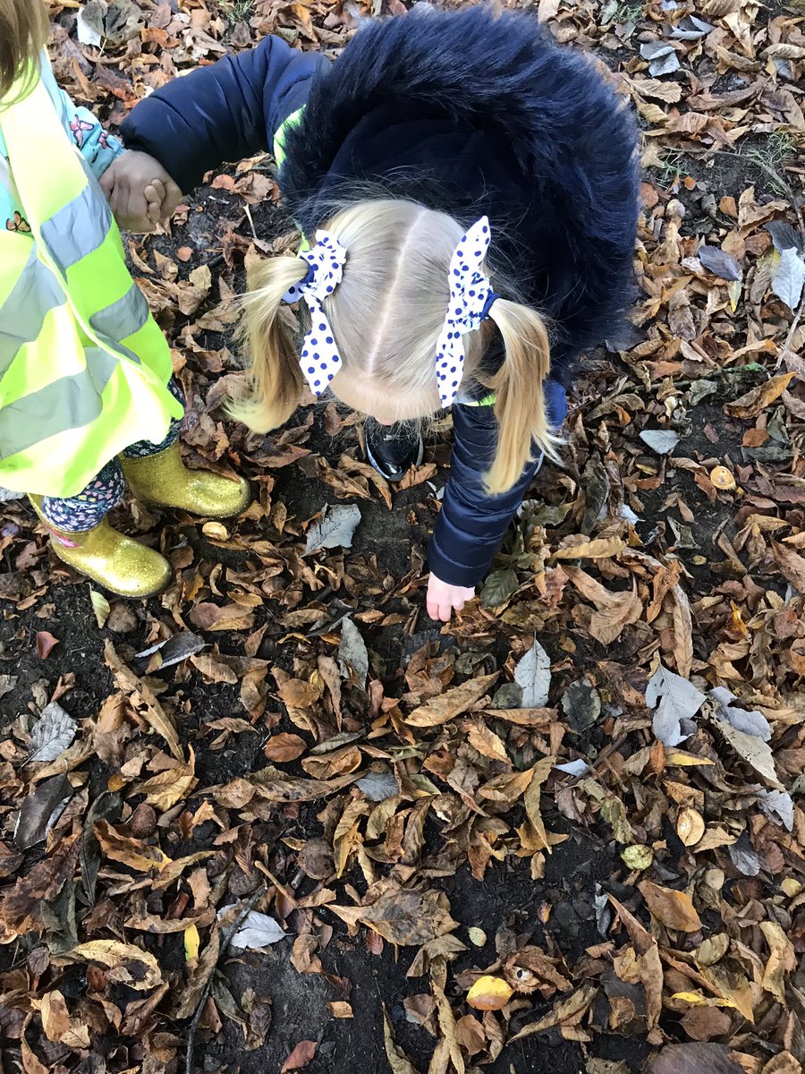 Forest School ACE tweet media